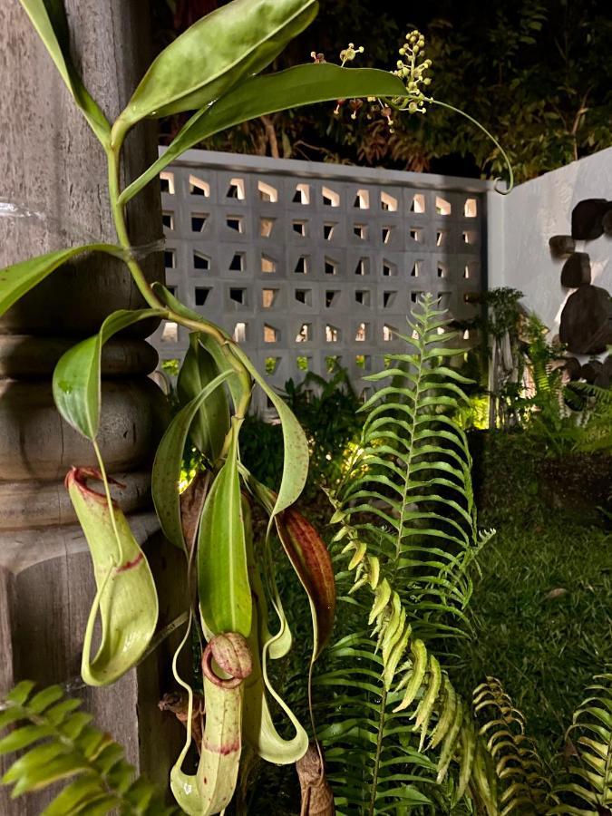 Ikiru 18 Private Saltwater Pool Villa, 3 Ensuite Br, Outdoor Bbq, 5 Mins To Beach Pantai Cenang  Ngoại thất bức ảnh